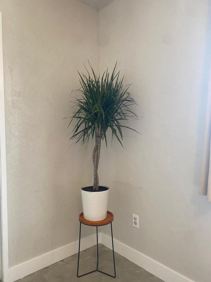 Villa New Listing - Pet Friendly - Casa Del Desierto in Joshua Tree Esterno foto